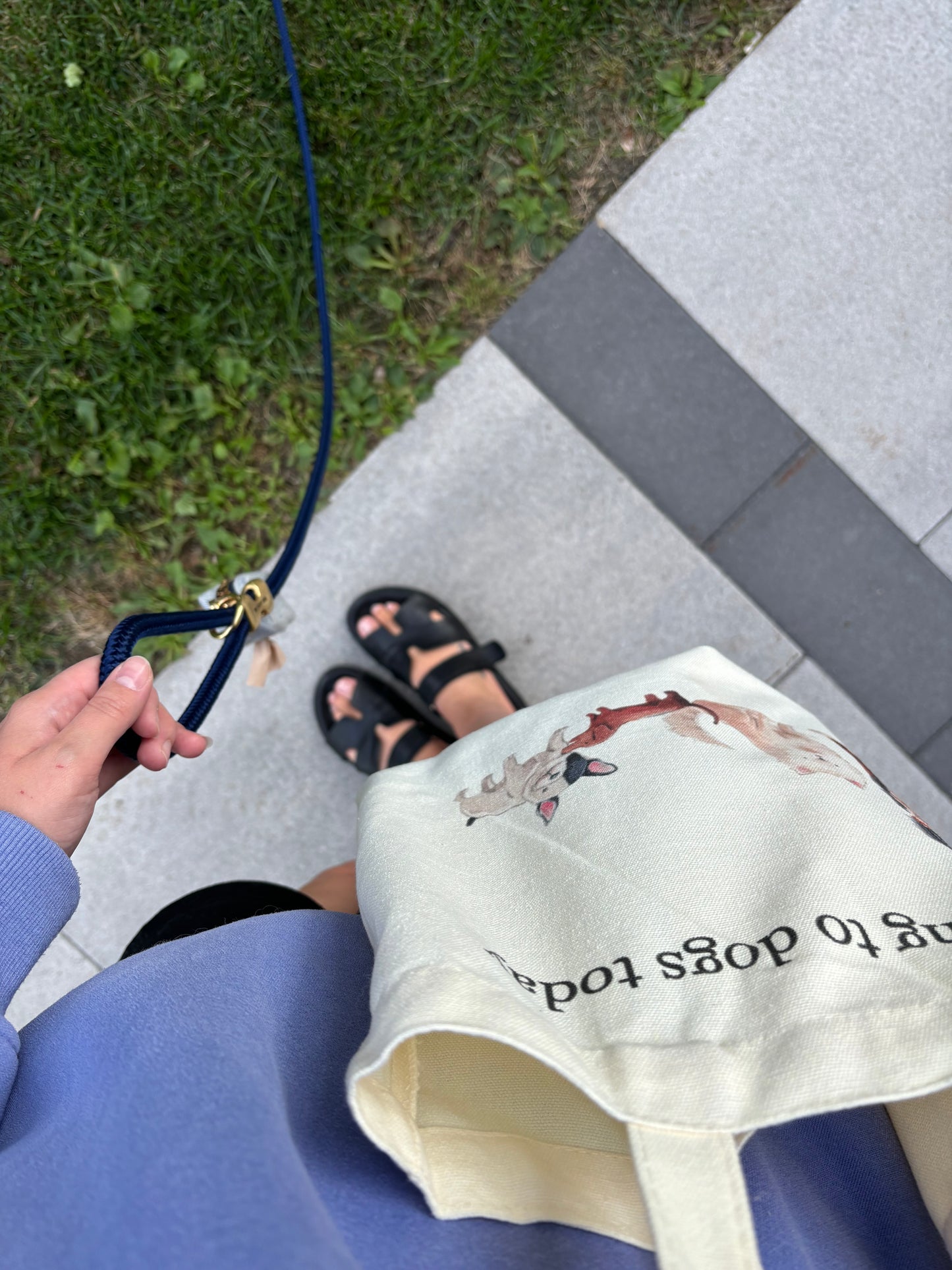 «I’m only talking to dogs today» Sac fourre-tout