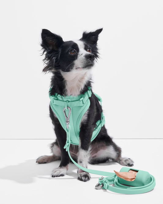 Harnais réglable pour chien