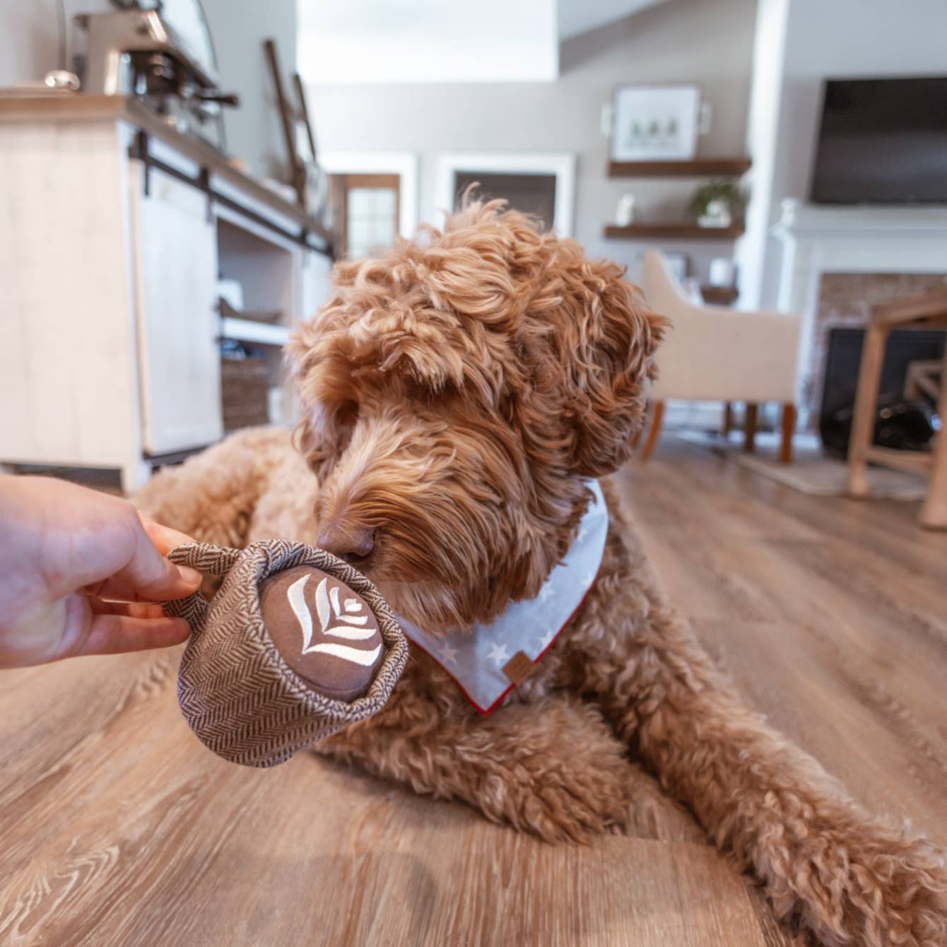 LATTE POP Jouet interactif