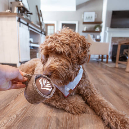 LATTE POP Jouet interactif