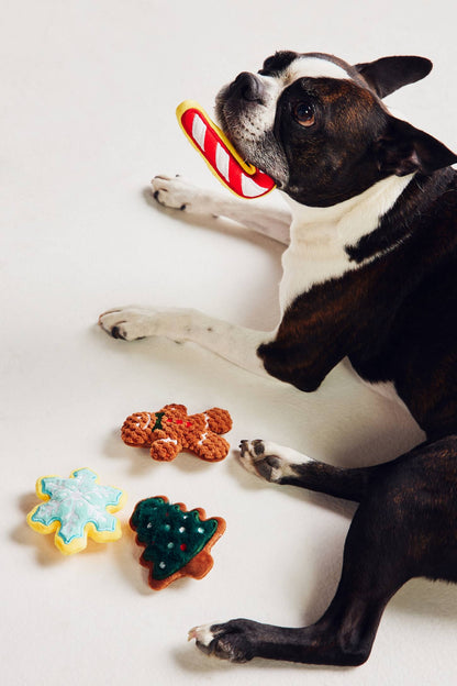 BISCUITS DES FÊTES Coffret cadeau de quatre jouets