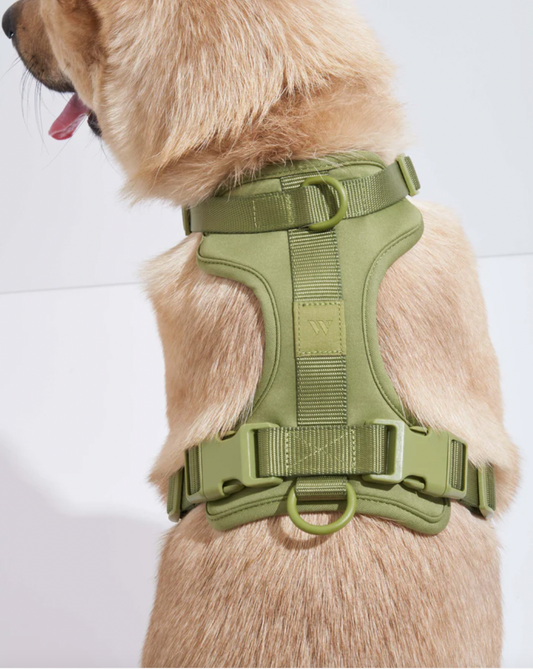 Harnais réglable pour chien